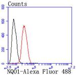 NQO1 Antibody in Flow Cytometry (Flow)