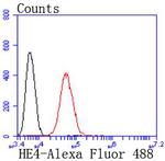 WFDC2 Antibody in Flow Cytometry (Flow)