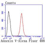 Annexin V Antibody in Flow Cytometry (Flow)