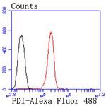 PDI Antibody in Flow Cytometry (Flow)