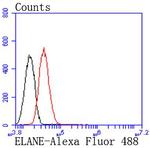 Neutrophil elastase Antibody in Flow Cytometry (Flow)