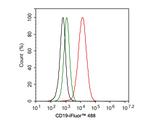 CD19 Antibody in Flow Cytometry (Flow)