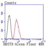 CHOP Antibody in Flow Cytometry (Flow)