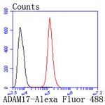 ADAM17 Antibody in Flow Cytometry (Flow)