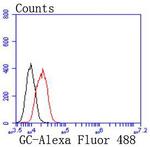 GC Antibody in Flow Cytometry (Flow)