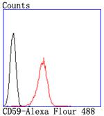 CD59 (Protectin) Antibody in Flow Cytometry (Flow)