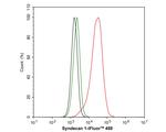 CD138 Antibody in Flow Cytometry (Flow)