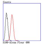 S100 Antibody in Flow Cytometry (Flow)