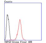 TDP-43 Antibody in Flow Cytometry (Flow)