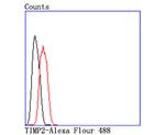 TIMP2 Antibody in Flow Cytometry (Flow)
