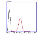 Phospho-RNA pol II CTD (Ser5) Antibody in Flow Cytometry (Flow)