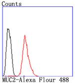 MUC2 Antibody in Flow Cytometry (Flow)