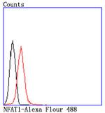 NFATC2 Antibody in Flow Cytometry (Flow)