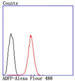 ADFP Antibody in Flow Cytometry (Flow)