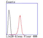 LIN28A Antibody in Flow Cytometry (Flow)