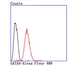 Gata-4 Antibody in Flow Cytometry (Flow)