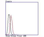 NOXA Antibody in Flow Cytometry (Flow)