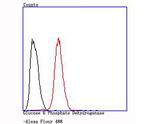 G6PD Antibody in Flow Cytometry (Flow)