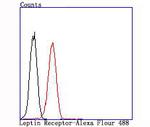 Leptin Receptor Antibody in Flow Cytometry (Flow)