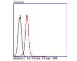 Annexin A2 Antibody in Flow Cytometry (Flow)