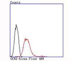 GCN2 Antibody in Flow Cytometry (Flow)