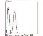 PKC epsilon Antibody in Flow Cytometry (Flow)