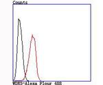 WDR5 Antibody in Flow Cytometry (Flow)