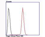 Nogo-B Antibody in Flow Cytometry (Flow)