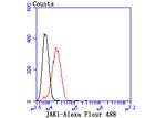 JAK1 Antibody in Flow Cytometry (Flow)