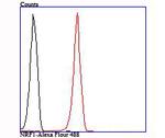 NRF1 Antibody in Flow Cytometry (Flow)