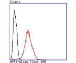 OPA1 Antibody in Flow Cytometry (Flow)