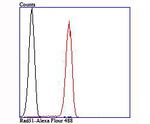 RAD51 Antibody in Flow Cytometry (Flow)