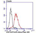 CD11b Antibody in Flow Cytometry (Flow)