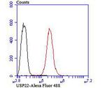 USP22 Antibody in Flow Cytometry (Flow)