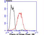 Plexin-A1 Antibody in Flow Cytometry (Flow)