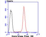 Zyxin Antibody in Flow Cytometry (Flow)