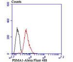 PSMA1 Antibody in Flow Cytometry (Flow)