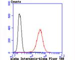 alpha Internexin Antibody in Flow Cytometry (Flow)