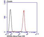 SDHB Antibody in Flow Cytometry (Flow)