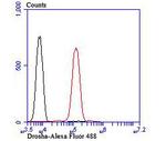 Drosha Antibody in Flow Cytometry (Flow)