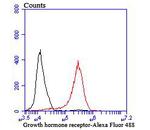 Growth Hormone Receptor Antibody in Flow Cytometry (Flow)