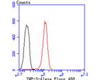 IGF2BP3 Antibody in Flow Cytometry (Flow)