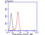 TIM-3 Antibody in Flow Cytometry (Flow)