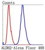 ALDH2 Antibody in Flow Cytometry (Flow)