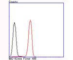 MAL Antibody in Flow Cytometry (Flow)