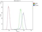 GSTM1 Antibody in Flow Cytometry (Flow)