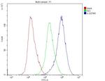 GSTM1 Antibody in Flow Cytometry (Flow)