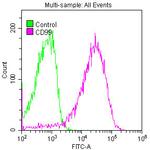 CD99 Antibody in Flow Cytometry (Flow)