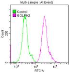 GOLPH2 Antibody in Flow Cytometry (Flow)