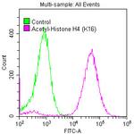 H4K16ac Antibody in Flow Cytometry (Flow)